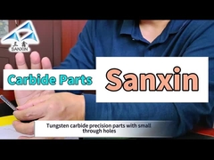 Zhuzhou Sanxin-Tungsten Carbide Chi tiết chính xác với lỗ nhỏ