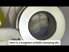 Zhuzhou Sanxin Cemented Carbide - khuôn