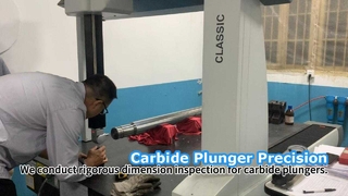 Kiểm tra nghiêm ngặt pít tông cacbua có độ chính xác cao